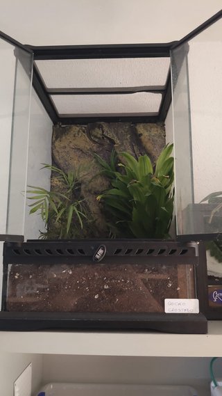 Terrario