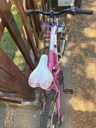 Bicicleta Avigo Downhill 20