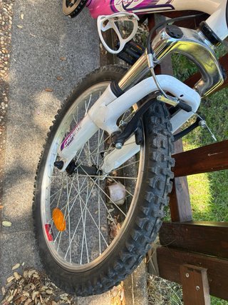Bicicleta Avigo Downhill 20