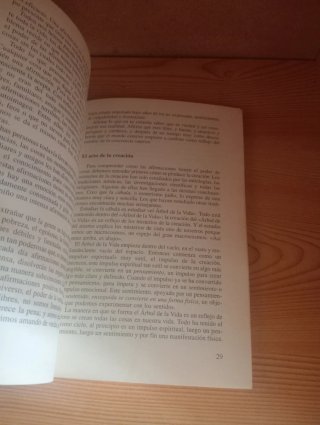EL ARTE DE VIVIR EL TANTRA Los principios del t...