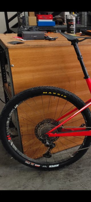 Llantas DT Swiss XR 1501 Spline ONE 29
