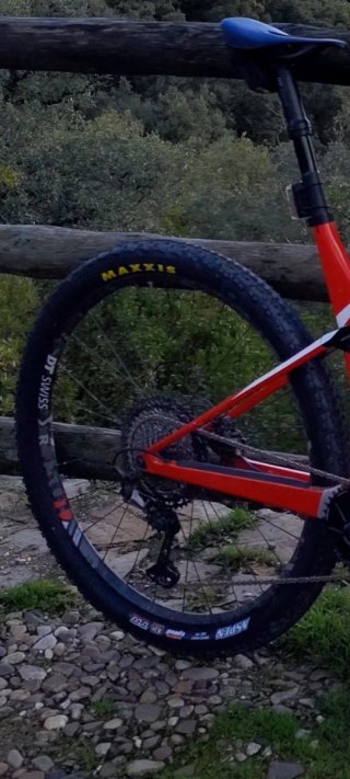 Llantas DT Swiss XR 1501 Spline ONE 29