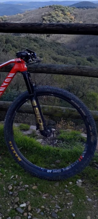 Llantas DT Swiss XR 1501 Spline ONE 29