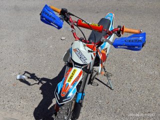 Pit Bike Dorado 110 Automática