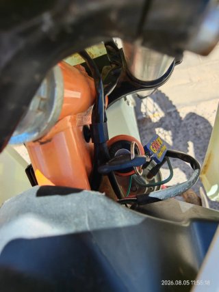 Pit Bike Dorado 110 Automática