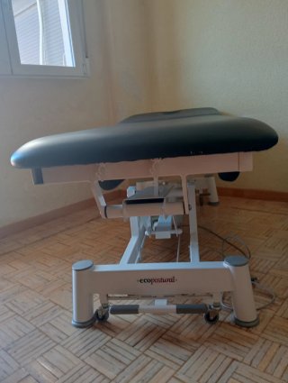 CAMILLA ELÉCTRICA ECOPOSTURAL PROFESIONAL