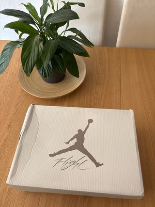 Jordan Retro 4 Azul y Blanco Talla 43