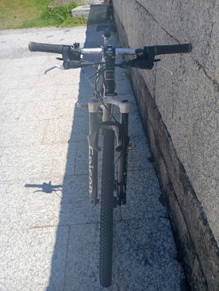Bicicleta Montaña