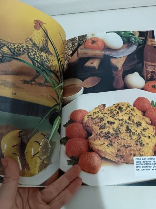 Libro de cocina