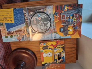 Los Simpson: Temporada 10 DVD
