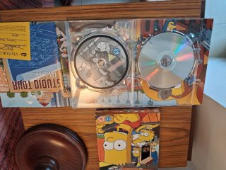 Los Simpson: Temporada 10 DVD