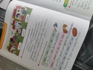Lengua Castellana, 3 Primaria, Proyecto constru...