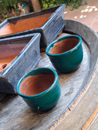 6 Macetas para bonsai de Cerámica