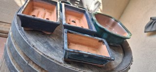 6 Macetas para bonsai de Cerámica
