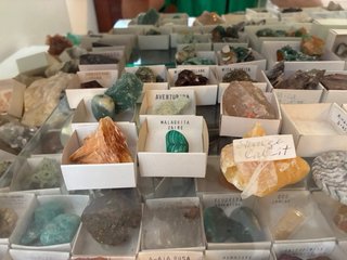 Gran colección de minerales, fósiles, corales
