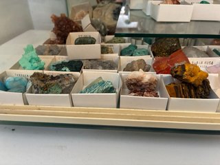 Gran colección de minerales, fósiles, corales