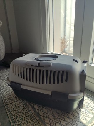 Transportín para gato