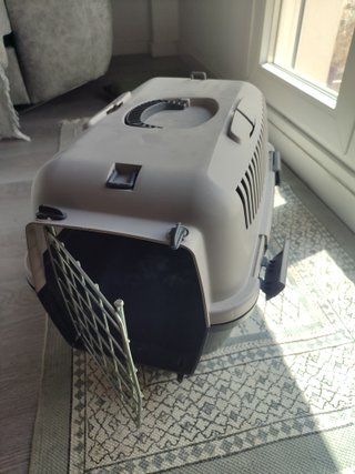Transportín para gato