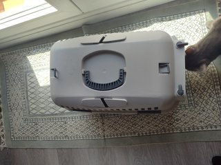 Transportín para gato