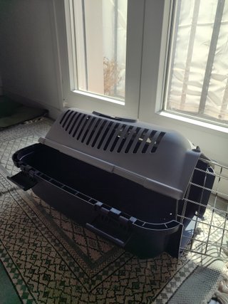 Transportín para gato