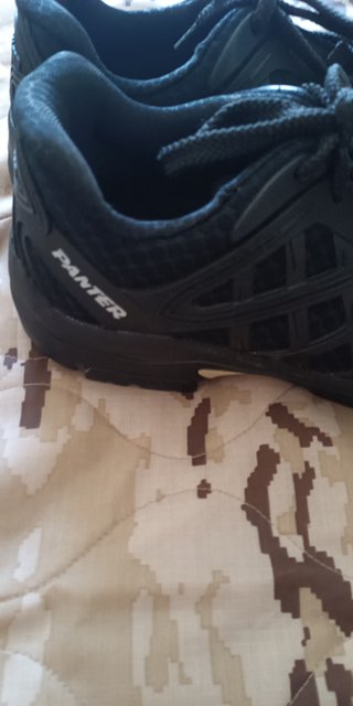 Zapatillas Panterreforsados talla 42