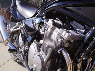 Bandit 600
