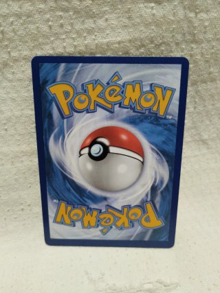 Carte Pokémon Lucario EX 260 PS