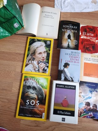 Lote de libros
