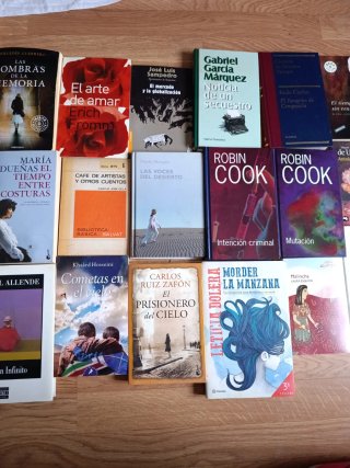 Lote de libros