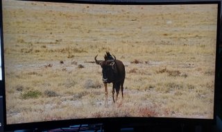 Monitor MSI Optix MAG322CQR 31.5