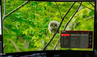 Monitor MSI Optix MAG322CQR 31.5