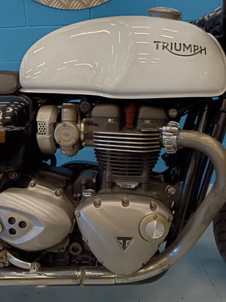 Triumph Thruxton 1200 Negra y Blanca