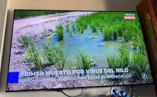Samsung TV 75 Negra
