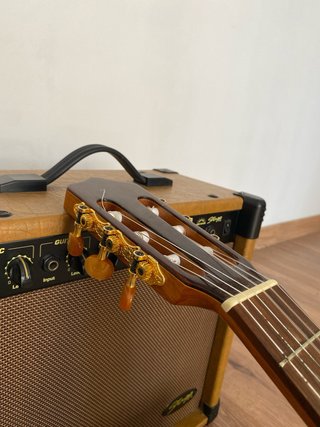 Guitarra Acústica Kremona Rosa Luna.