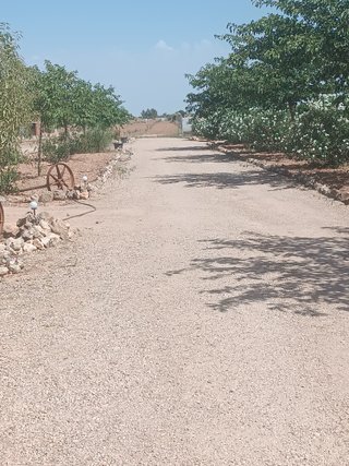 Alquilo terrenos rustico 100m2 y cuadra para cabal