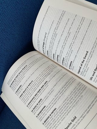 Enciclopedia dei Videogiochi 2 VOLUMI