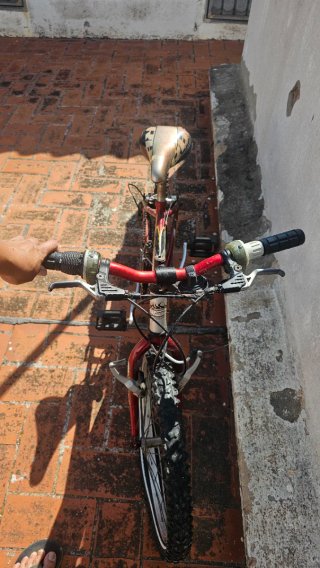 Bicicleta infantil COLUER ZI-20