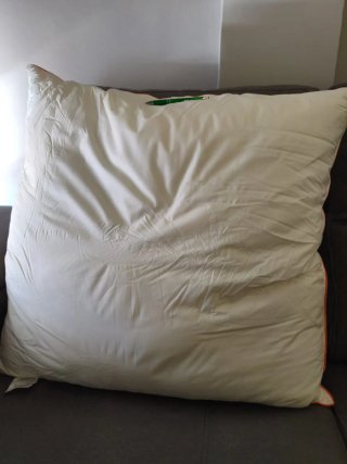 Almohada Plumas 80x80