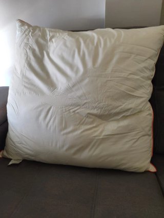 Almohada Plumas 80x80