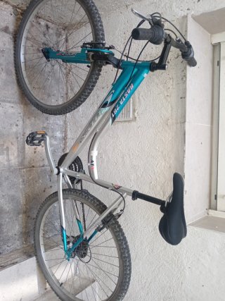 Bicicleta Rasta 261