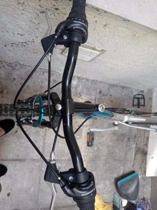 Bicicleta Rasta 261