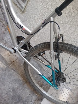Bicicleta Rasta 261
