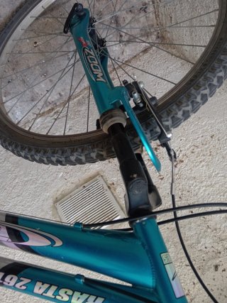 Bicicleta Rasta 261