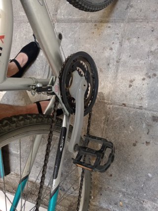Bicicleta Rasta 261