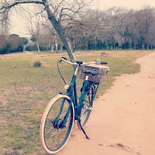 Bicicleta Holandesa Paseo