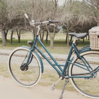 Bicicleta Holandesa Paseo