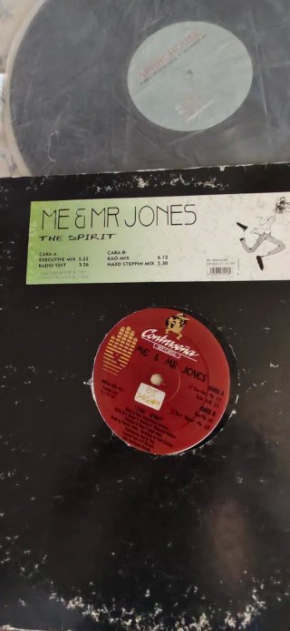 Lote 17 Vinilos Variados: Dance, Pop, Rock, Rap