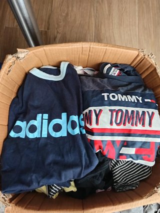 Lote Ropa Verano 53 Prendas Adidas Tommy