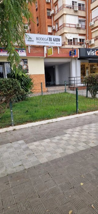 Local comercial