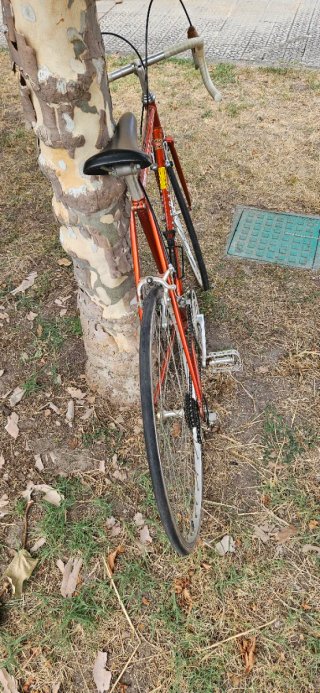 Bicicleta de carrera Zeleris en Medina de Pomar